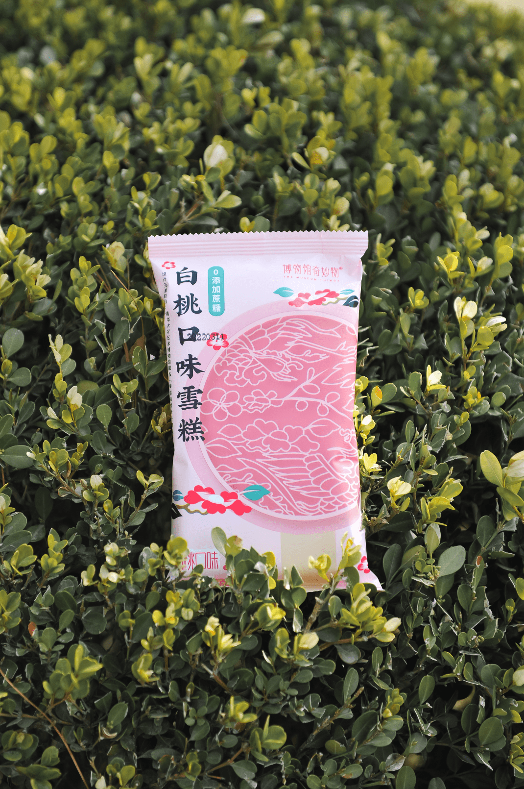 艺博文创暮春三月草长莺飞来尝尝清华艺博第一支文创雪糕吧