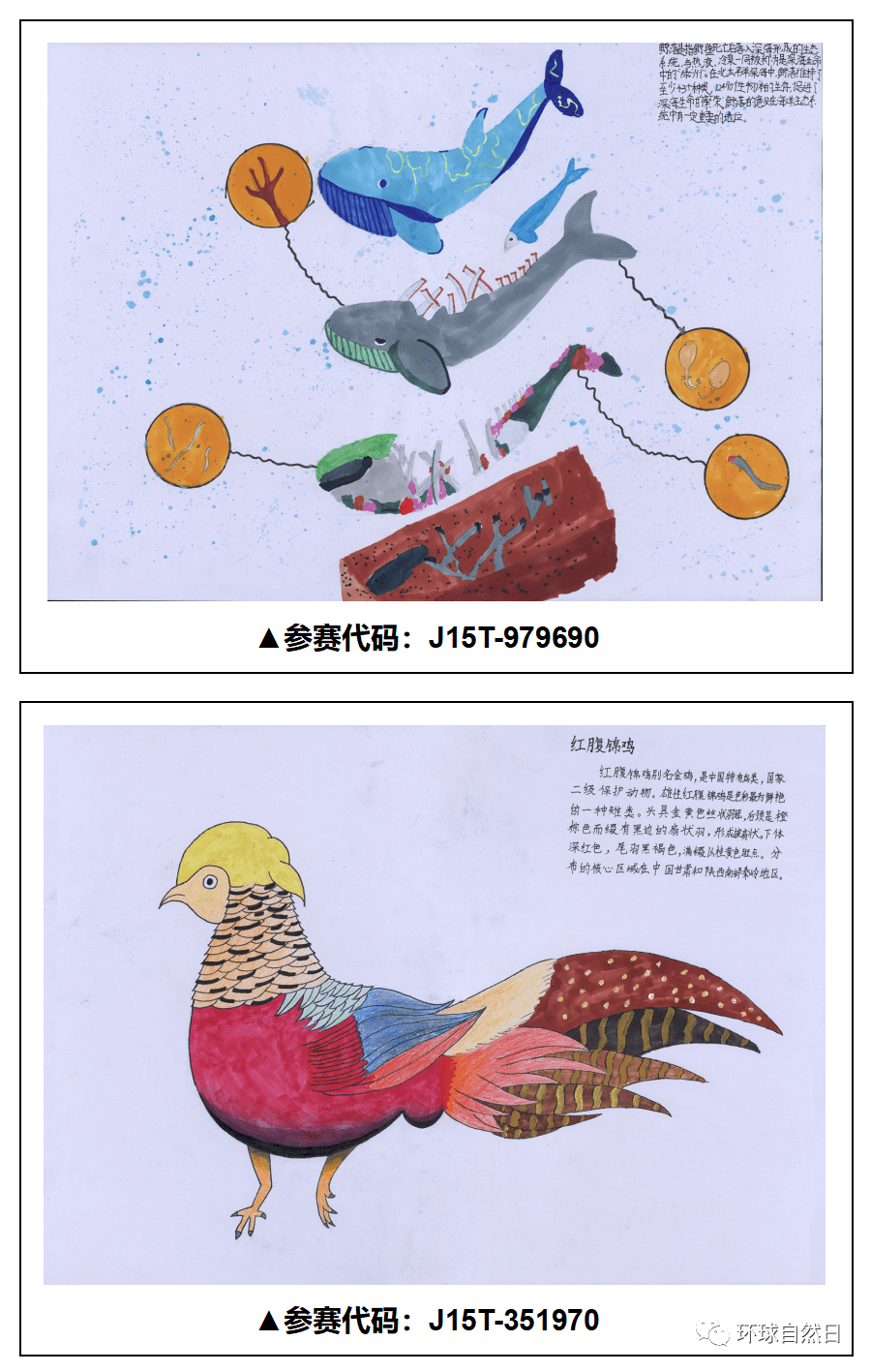 官宣环球自然日2021总决赛科普绘画作品赏析