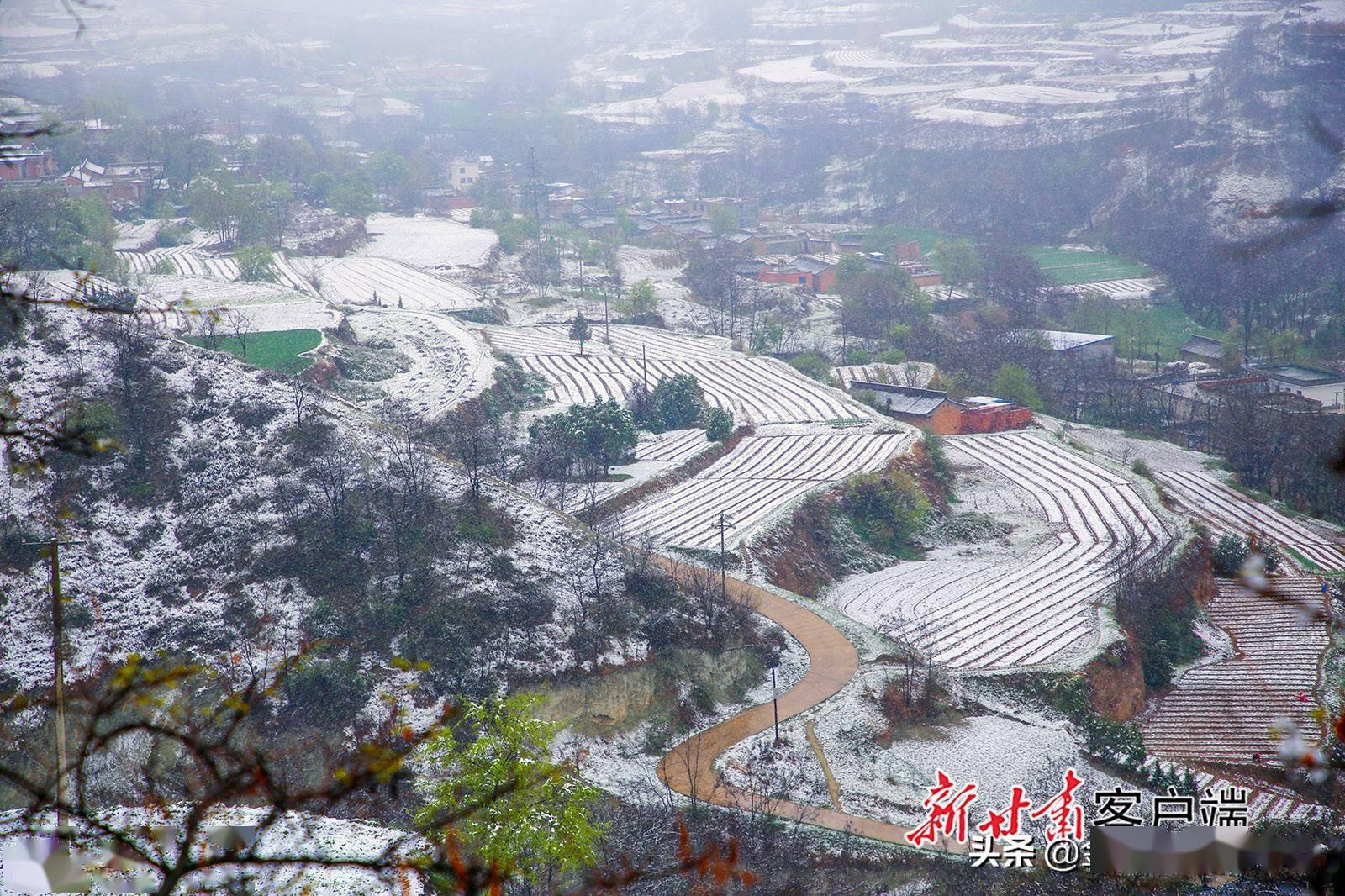 西和县四月春雪添画意