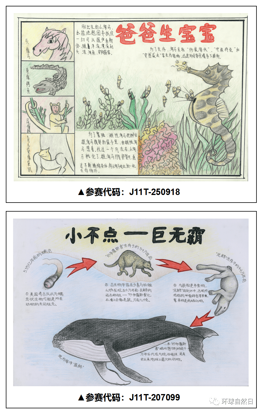 【官宣】环球自然日2021总决赛科普绘画作品赏析