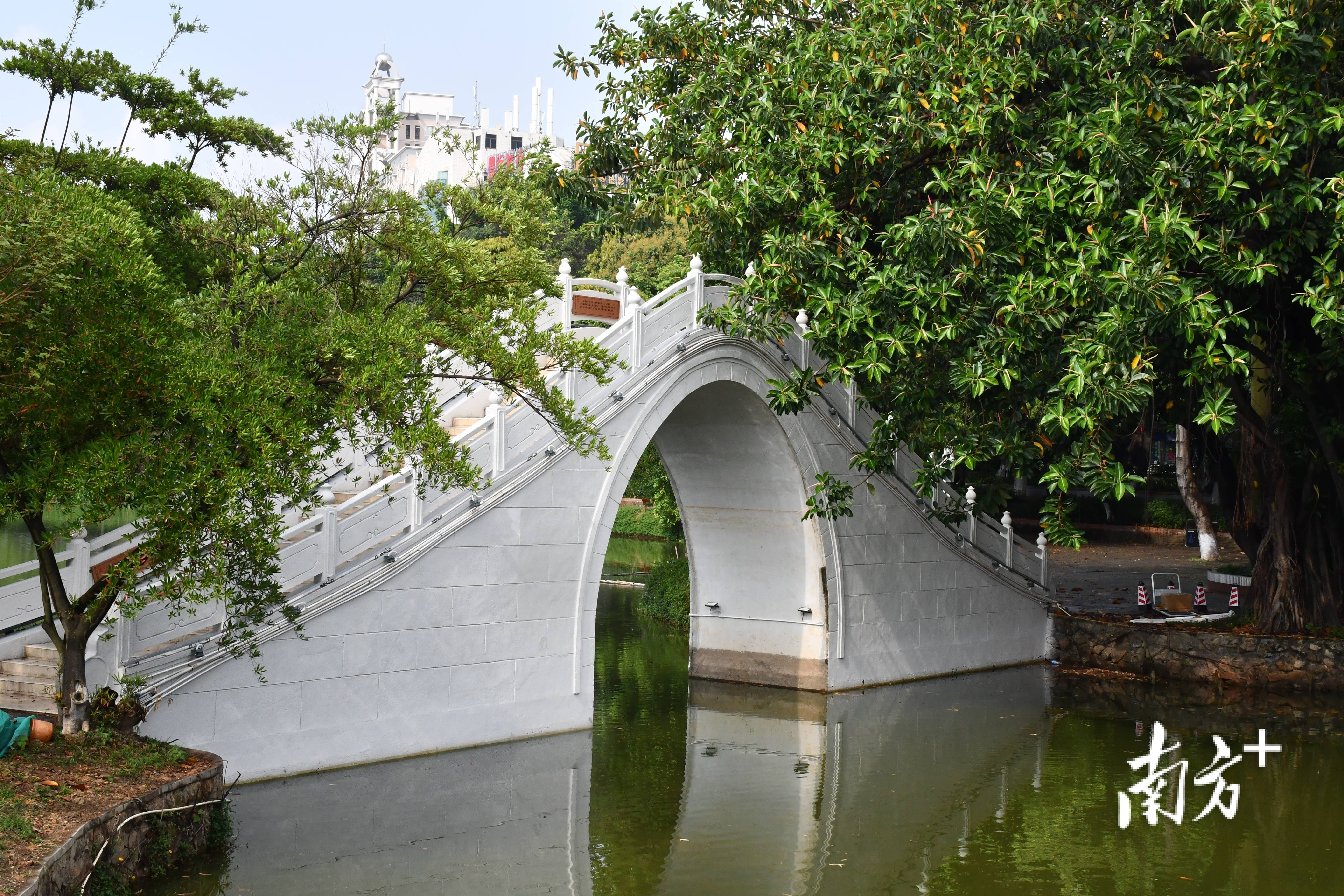 东莞人民公园晓湖夜景靓了