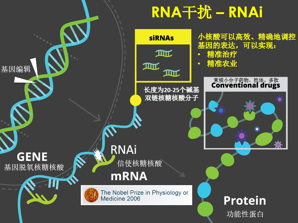 专访小默生物 开创小核酸独家生物制造工艺,可超低成本大规模生产