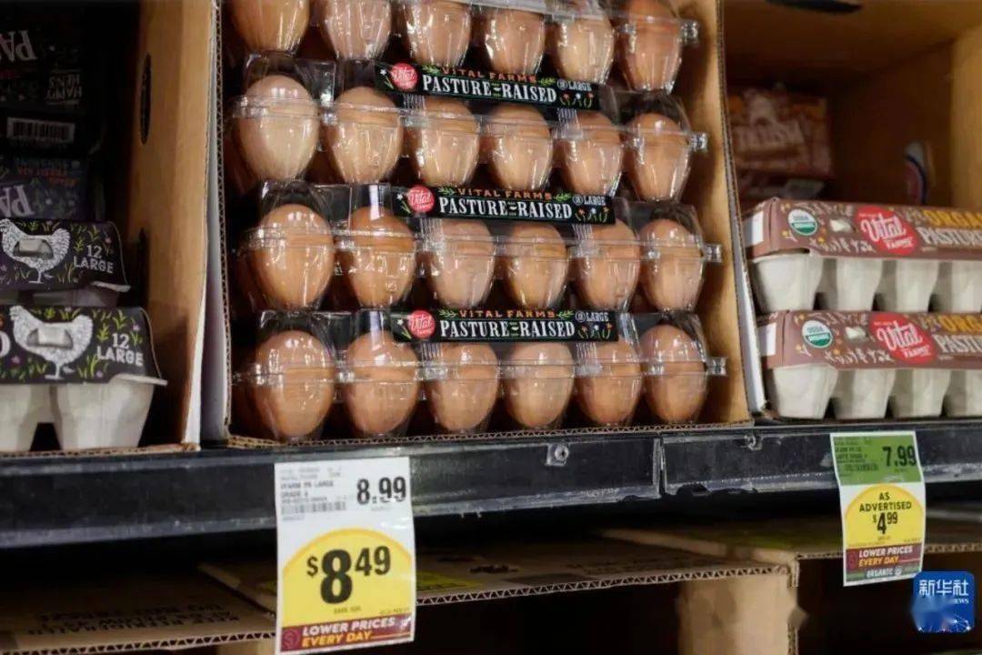禽流感严重蔓延 全球鸡蛋大涨价!_美国_价格_疫情