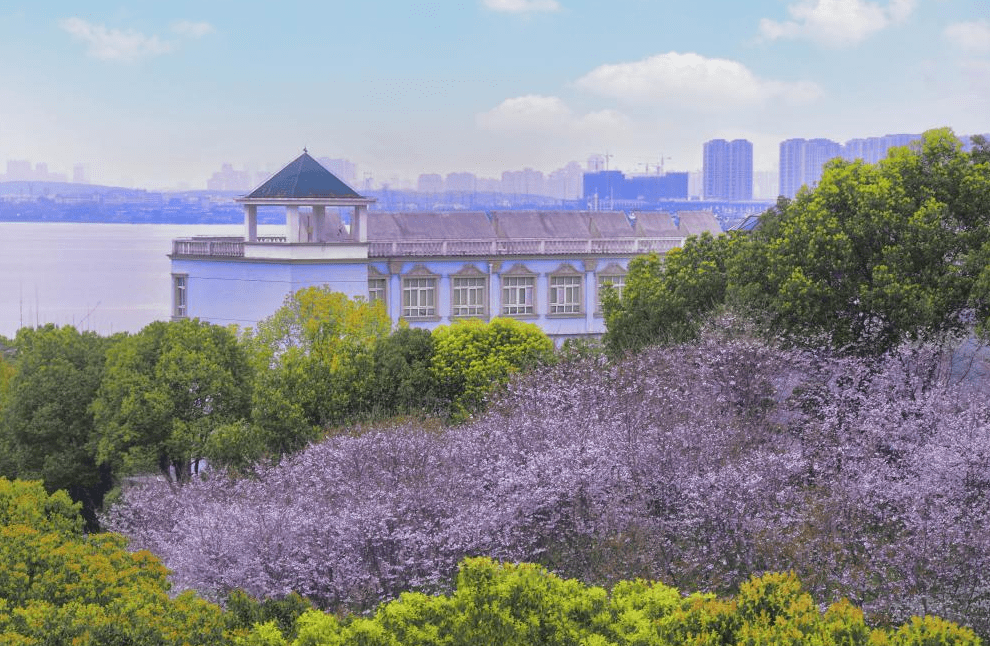 武昌理工学院 风景图片