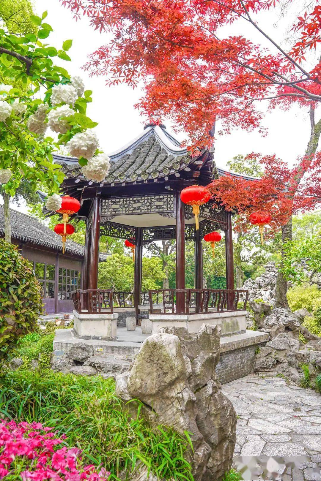 春到人间草木知四月限定在个园