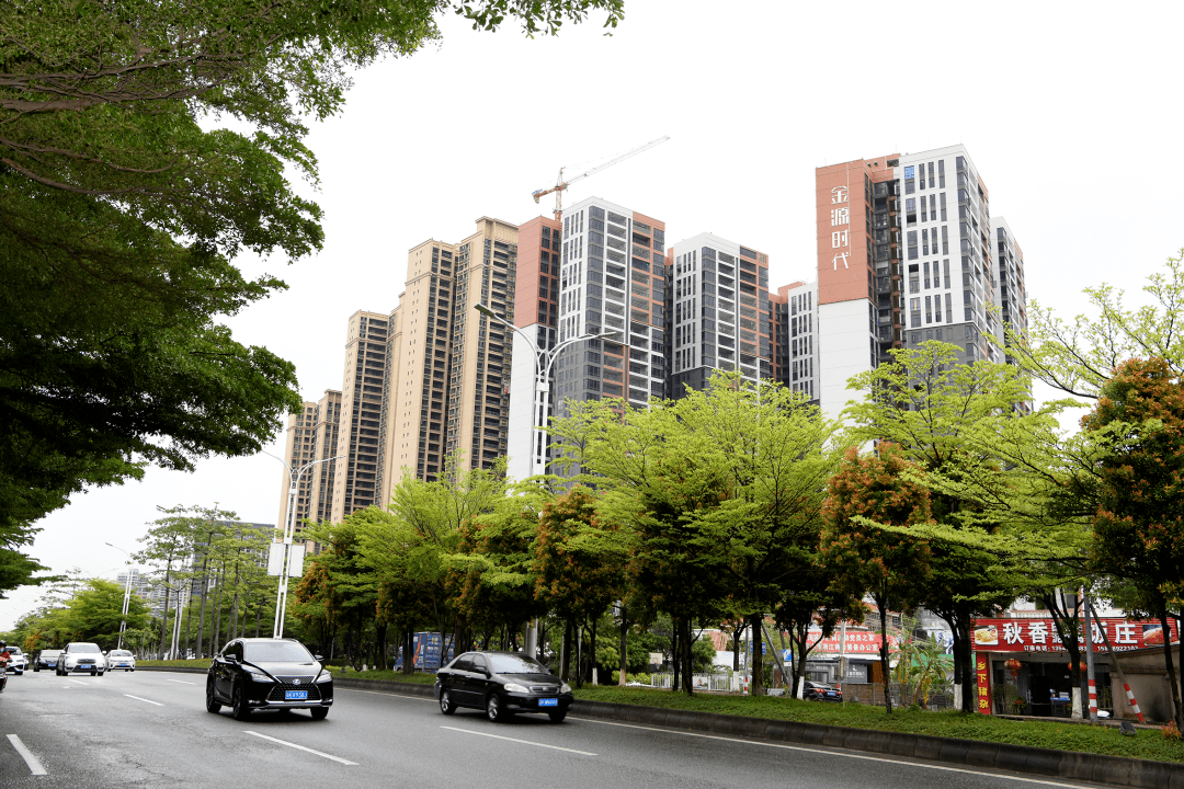 大道與海洋大道交匯處等重要節點,以及市民大道億豐廣場至粵西農批段