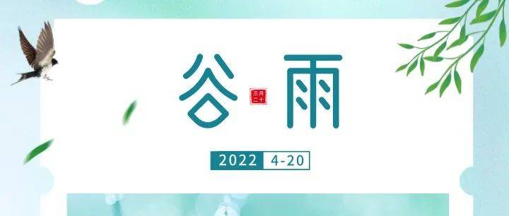 谷雨 | 让我们一起播种爱心,让公益生根发芽_org_cn_cfcac