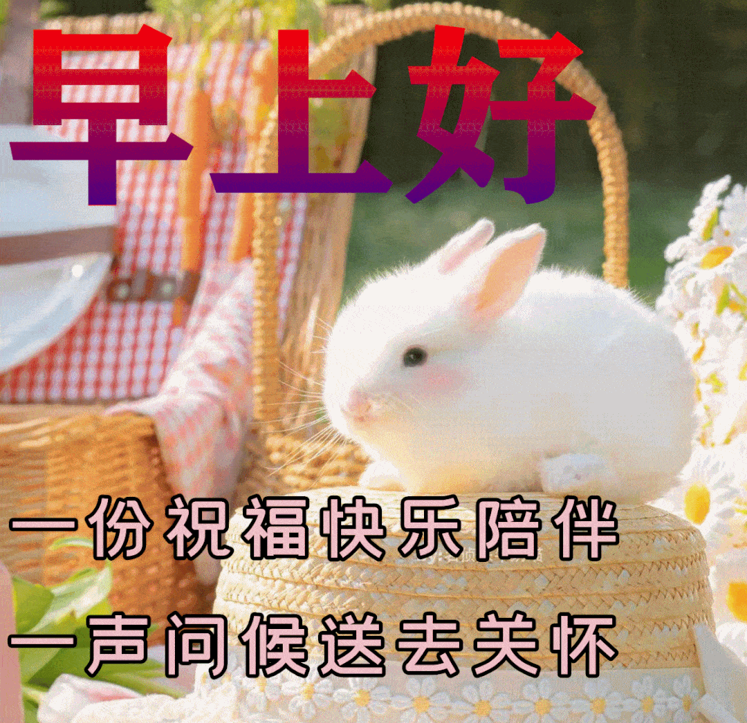 阳光给你洗洗脸,晴天给你刷刷牙,微笑一下,给自己加油打气,早上好!