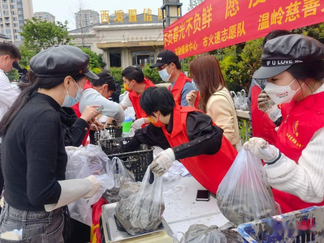 首批卖出1000斤,大家都来加把力!_蛏子_温岭_松门镇