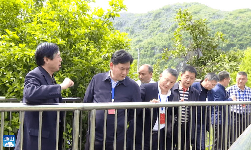 通山县县长图片