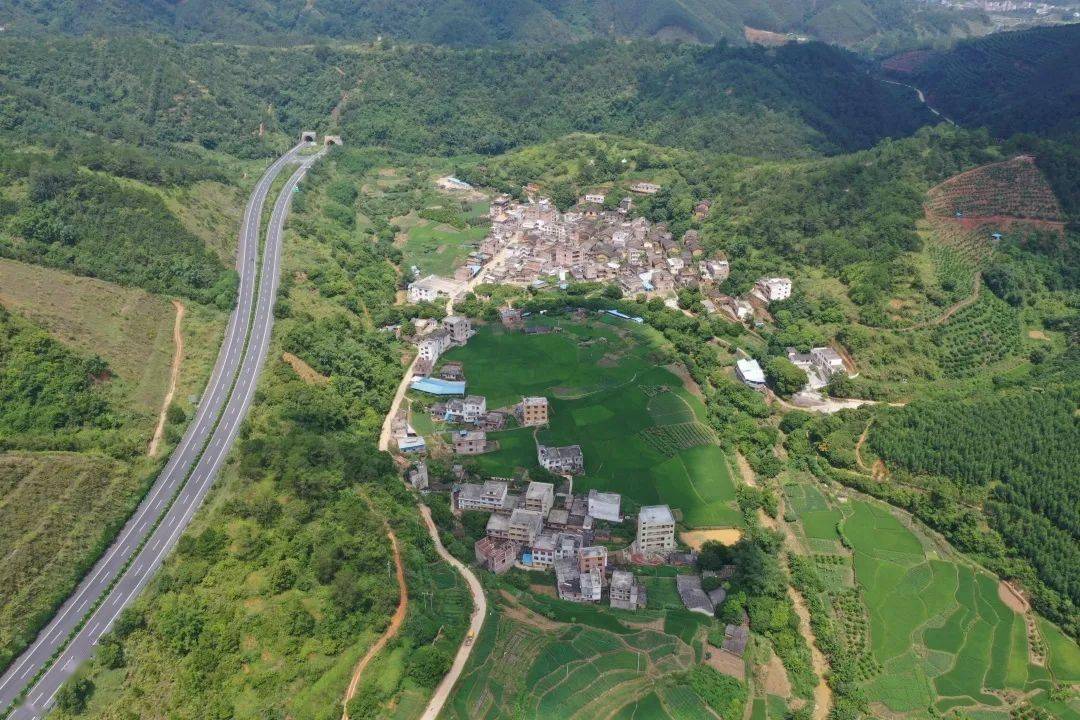 【巩固拓展脱贫攻坚成果 全面推进乡村振兴】岑城镇垌尾村:因地制宜