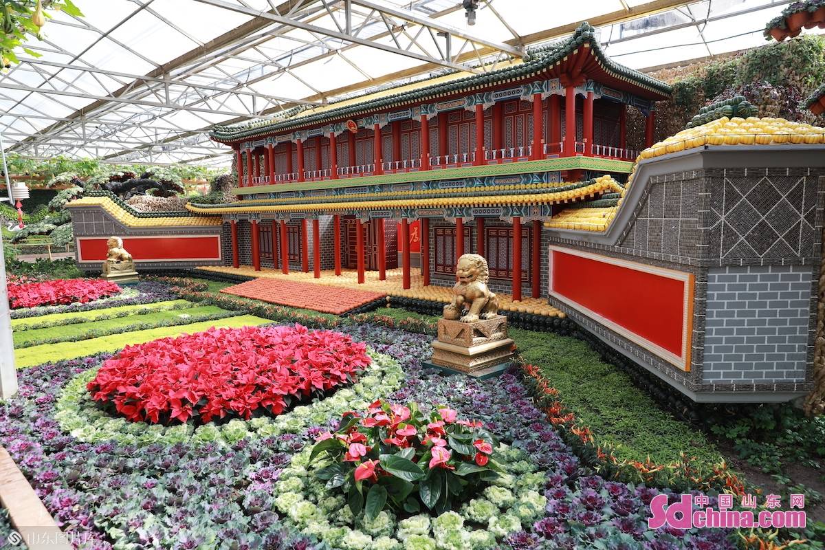 第二十三届寿光菜博会开幕带你云逛展