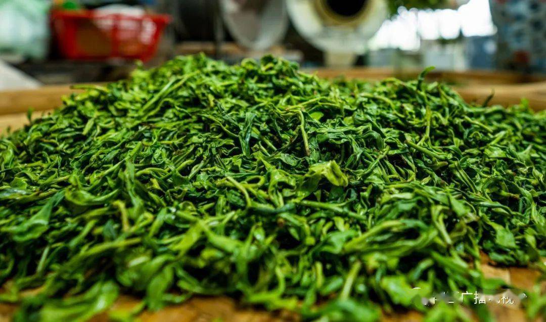 这是东水山茶农谭兴大在抖音平台直播的画面,他向网友展示东水手工炒