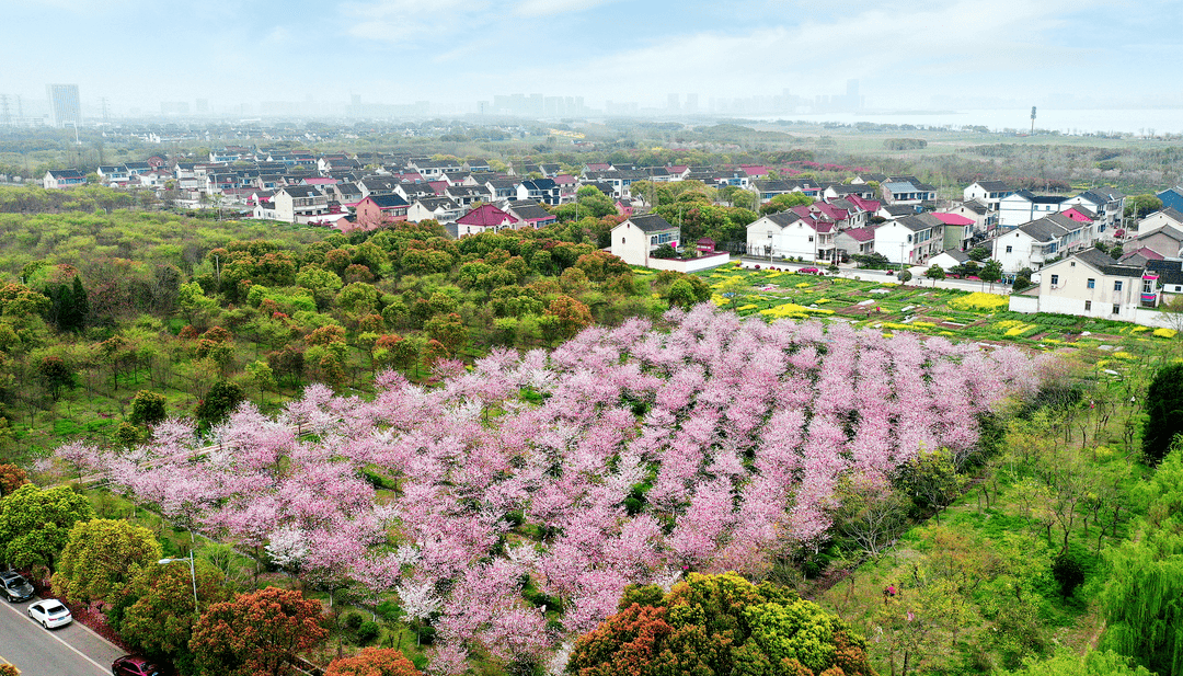 林渡暖村离尘不离城当代人面对都市生活的理想距离