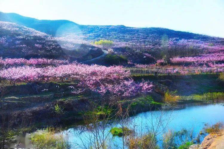 溪边桃花精美风景图片图片