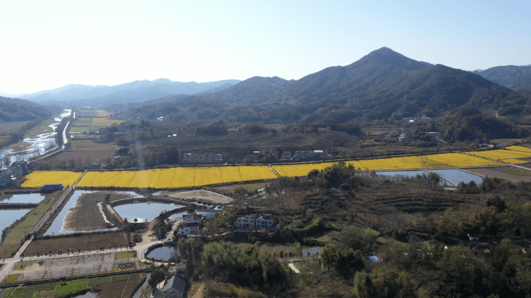 大别山乡村振兴样板区看这里