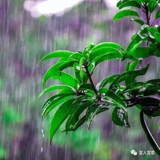 接下来!雨雨雨雨雨!_天气_气温_降雨