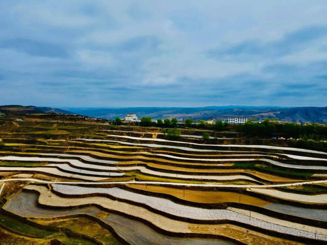 甘肃定西青岚梯田如画山乡景美春意浓