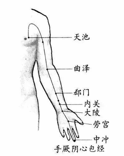 每天拍拍手臂的内侧 好比吃人参 按摩 心包 心脏