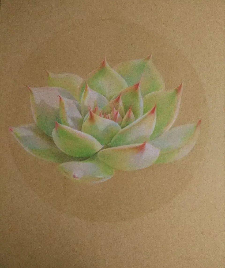 这国画风的彩铅画,你们喜欢吗?_版权_图文_声明