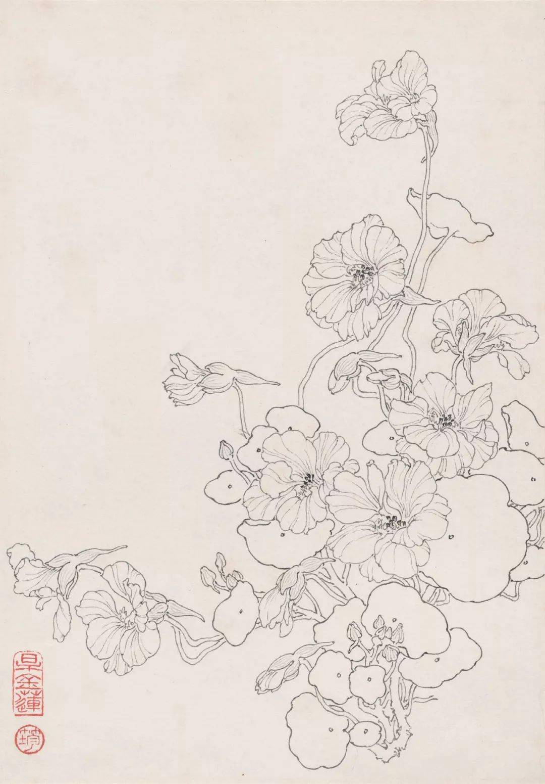 章培筠白描花鸟作品学习白描要灵活喜欢哪种就学哪种