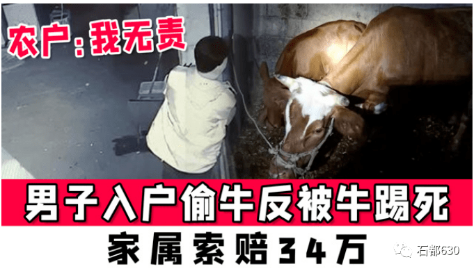 一男子入户偷牛反被牛踢死家属索赔34万