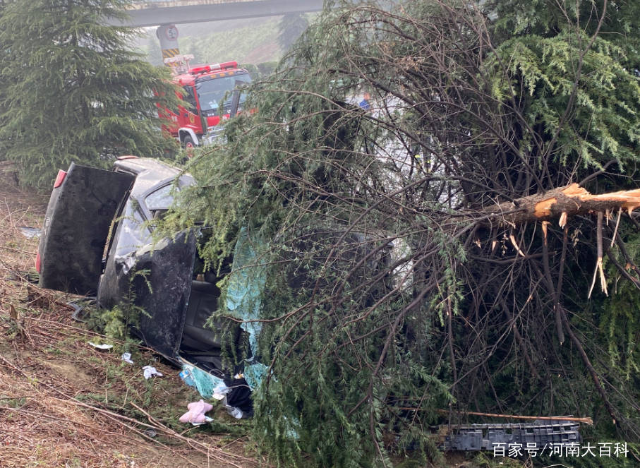 信阳这里发生交通事故一车侧翻在高速沟里一人当场死亡