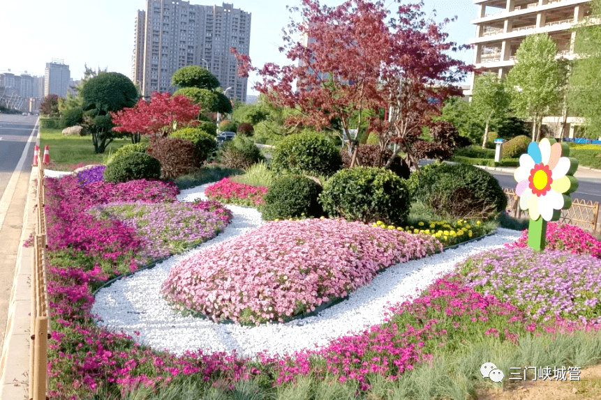 最美花境 亮相商务中心区迎宾大道_公园_景观_黄河