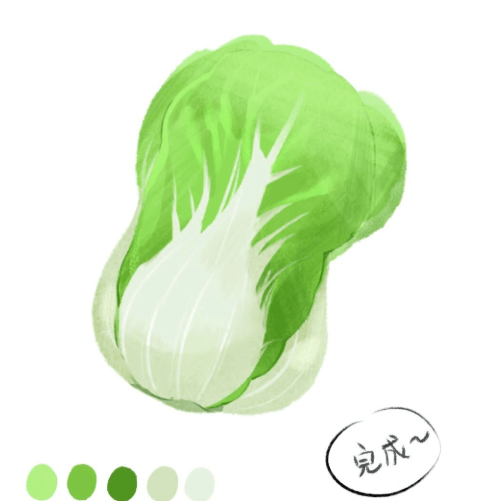 打卡丨美食插画54美食插画娃娃菜的绘制