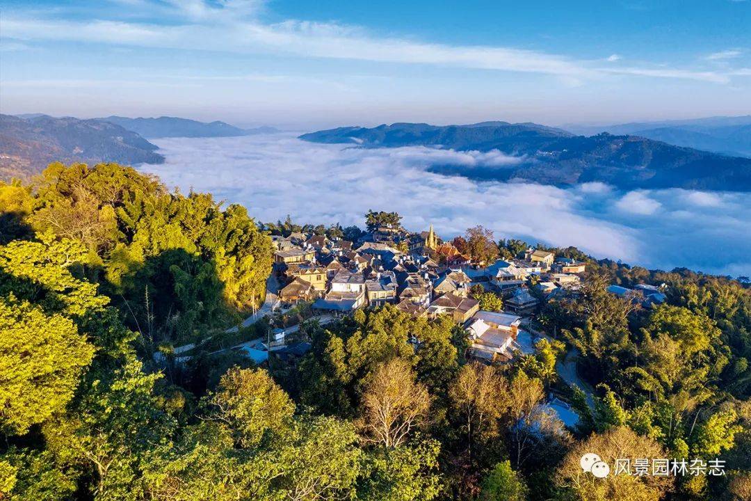 la作品景迈山古茶林文化景观保护修复设计