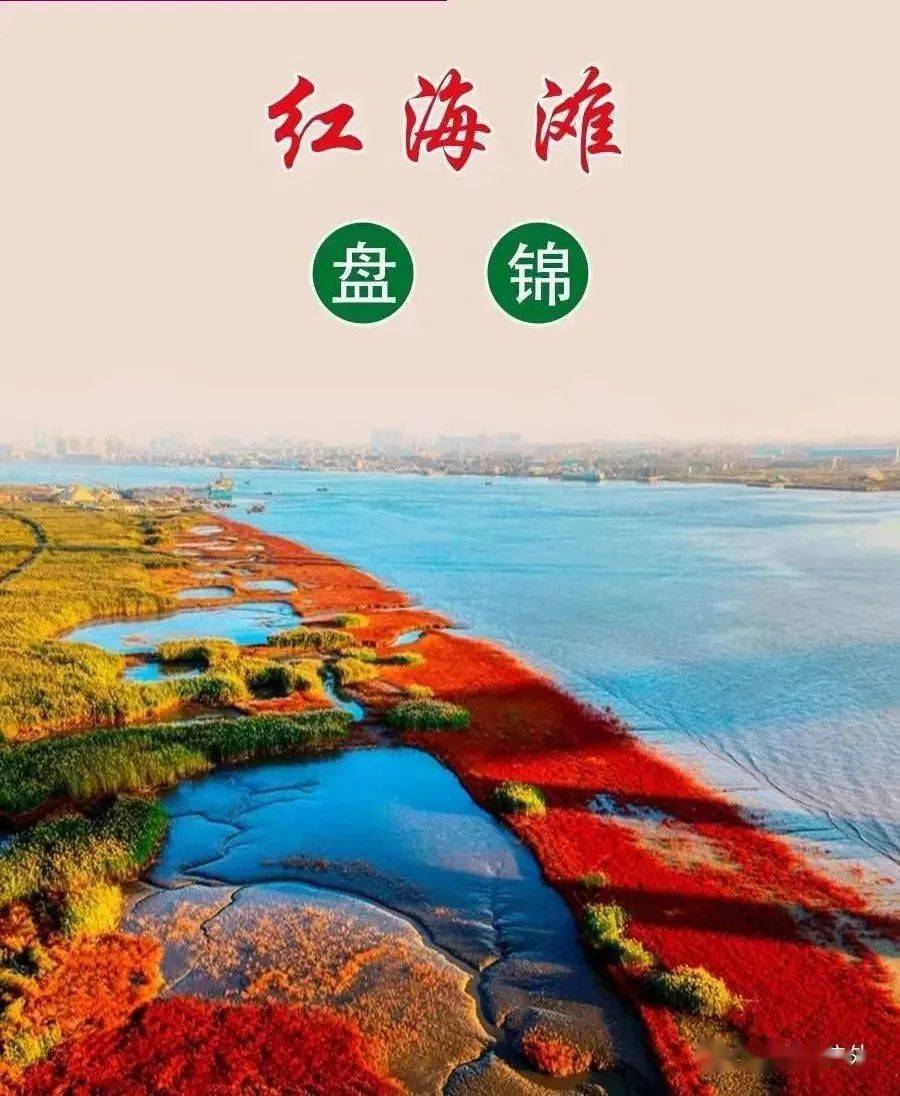 馆沈阳市沈阳市植物园(沈阳世博园)5a级旅游景区4a级景区135个包括5a