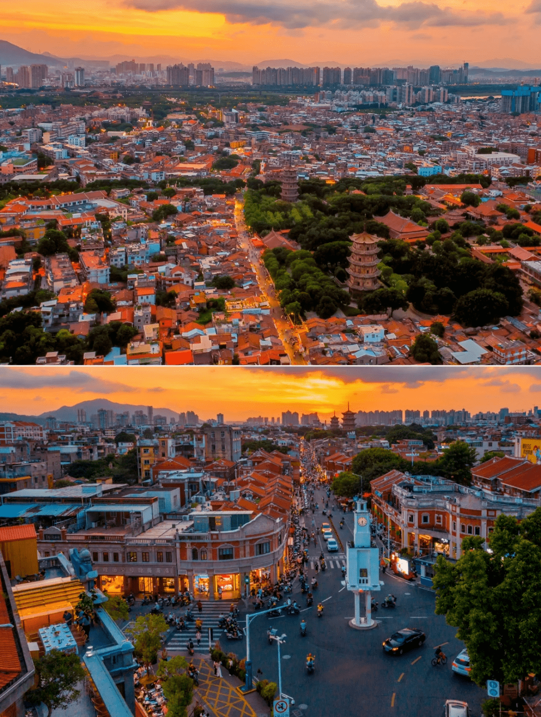 凤凰花开了看山海尽头的厦门食闽南美味