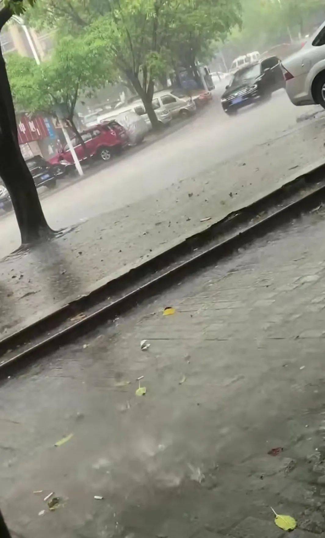 狂风暴雨的照片图片