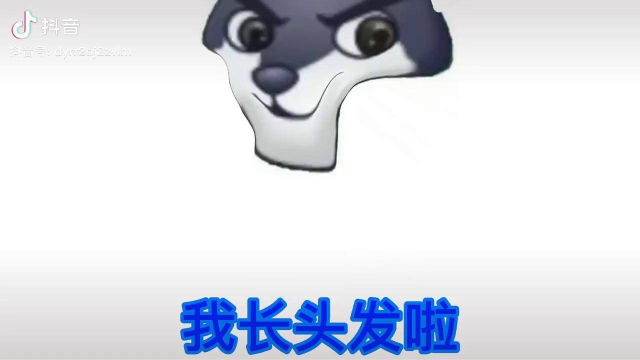 我长头发啦我要上热门狗头小剧场希望能火求推荐我要流量传说之下