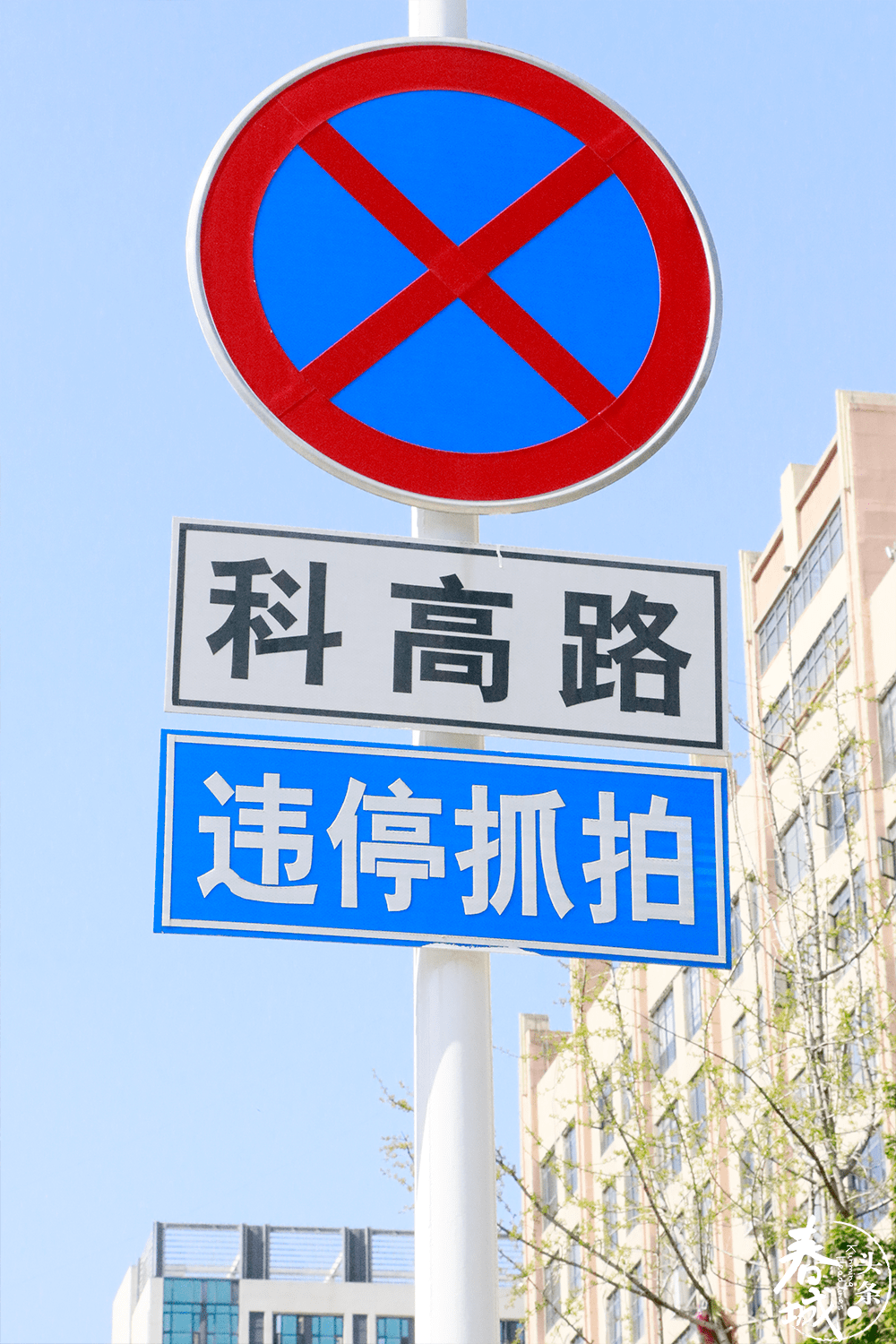 昆明的尽头是科高路