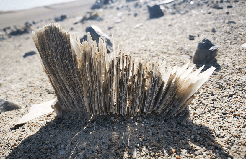 海西蒙古族藏族自治州茫崖市大风山-黄瓜梁-老茫崖一带就有这样一种由