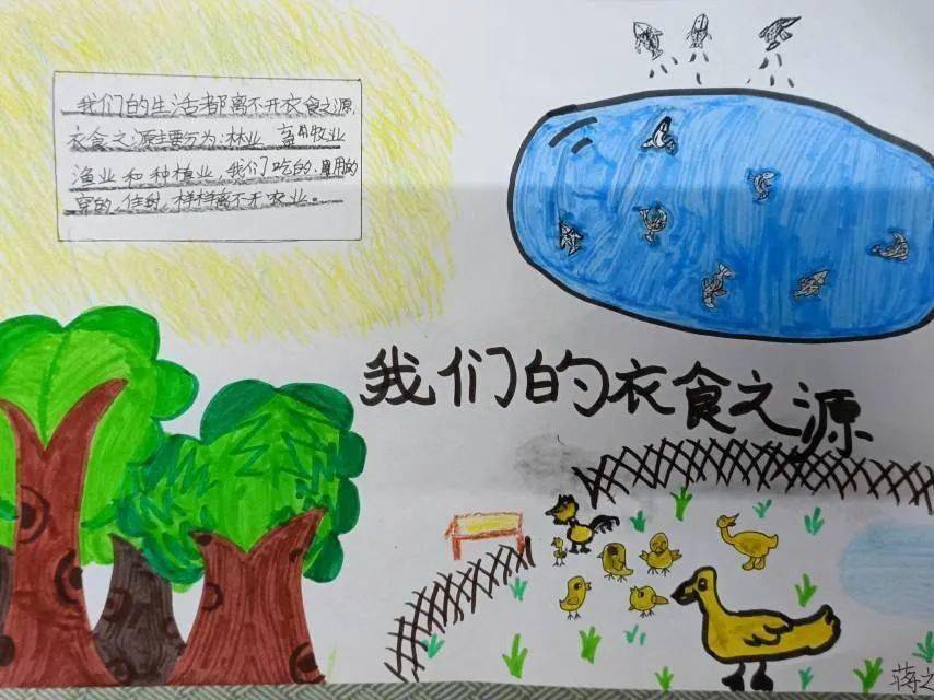 精彩纷呈——育秀实验学校小学道德与法治作业展示_互动_年级_进行