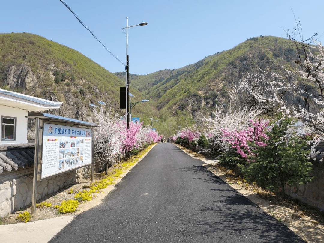 龙井市三合镇打好人居环境整治组合拳谱写乡村振兴新篇章