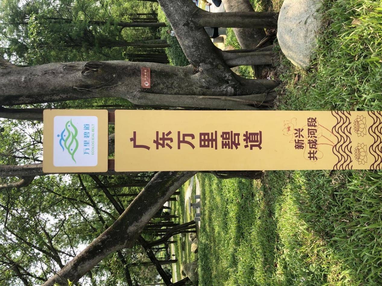 将万里碧道绘成生态画卷新兴高质量推进碧道建设