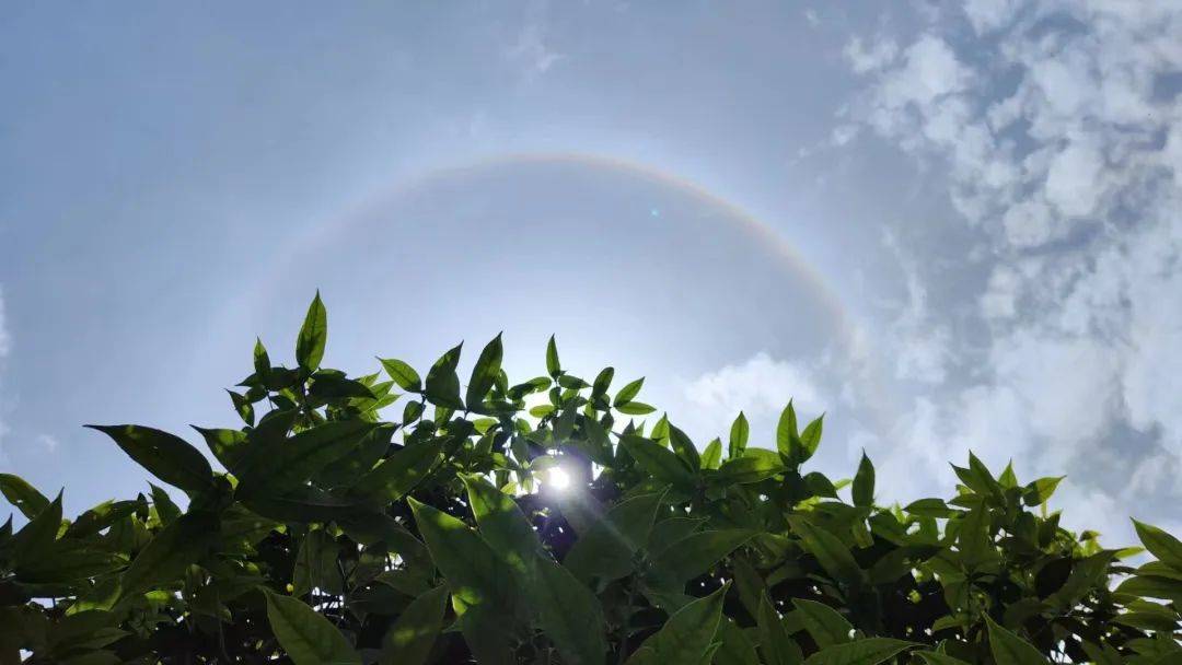 67南充人现在快抬头看看天