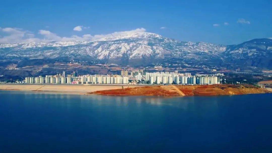 "中央新影发现之旅频道"《美丽家园》栏目播出_巧家县_树红_金塘镇