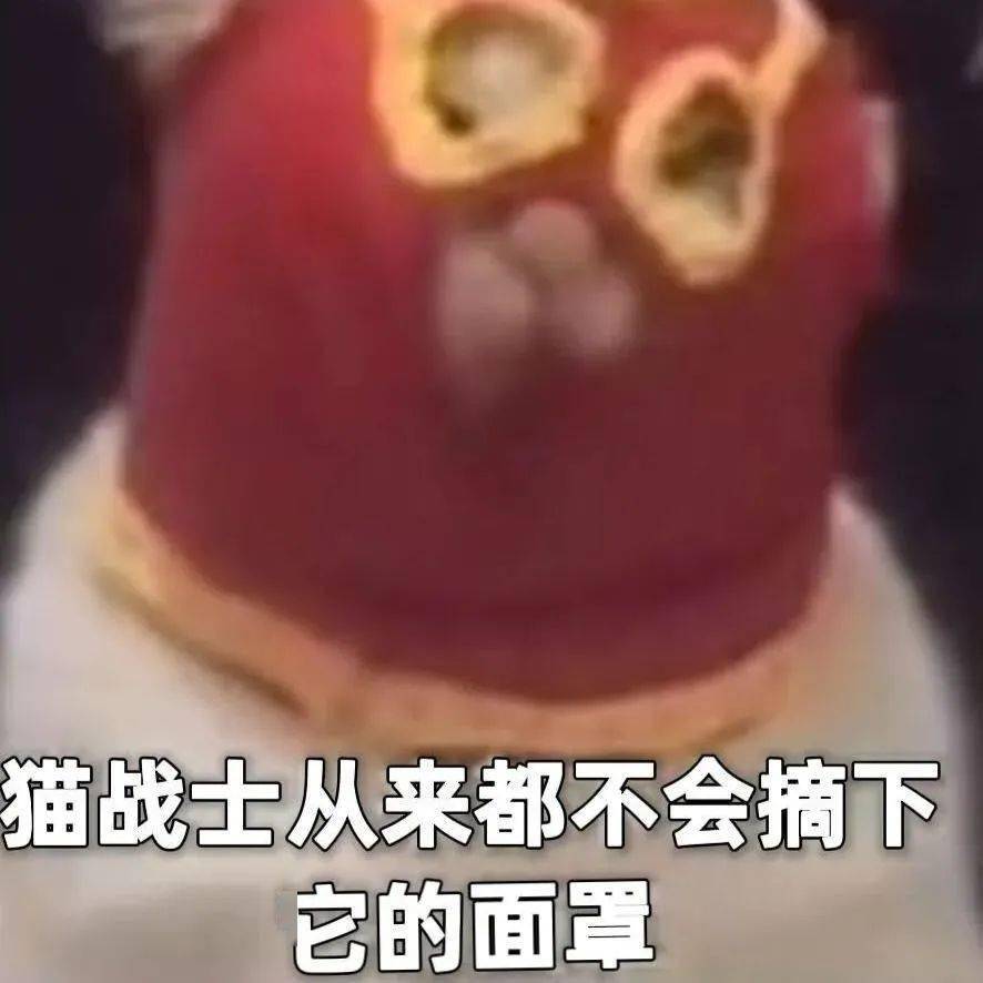 猫战士从不会摘下它的面罩丨第382期喵表情包