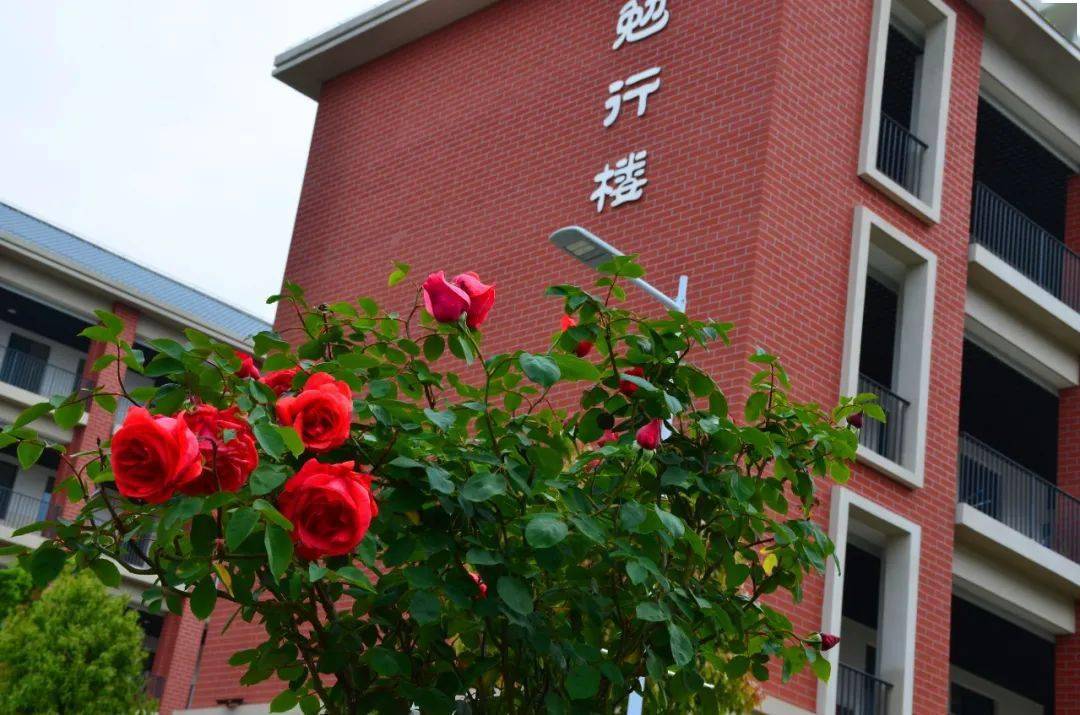 立发中学来送你一朵小红花