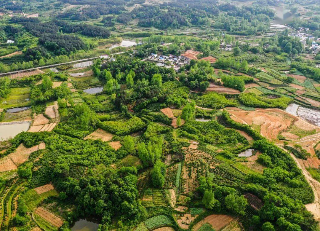 光山美好人居凉亭乡鄢脂洼村