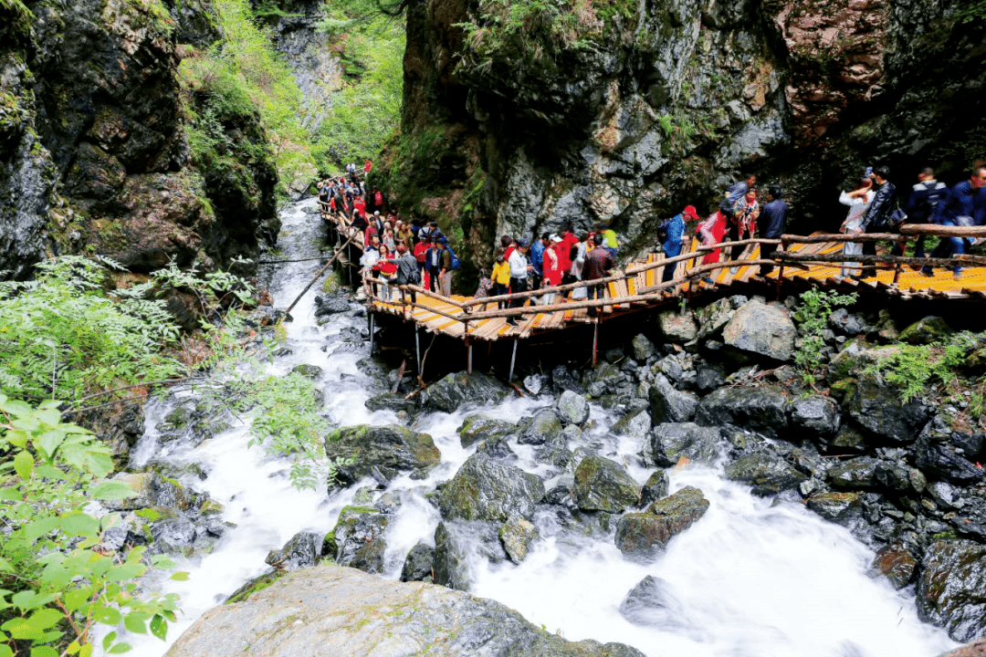 积石山大墩峡景区和政县桦林万兽谷景区和政县法台山景区和政县古动物