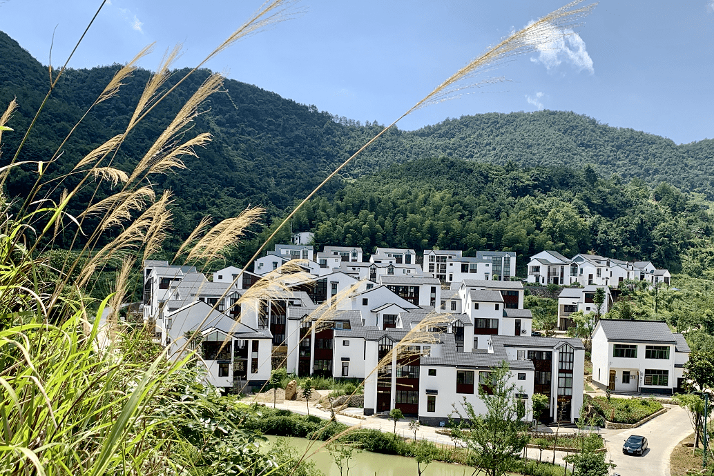 浦江林坞口村景点图片