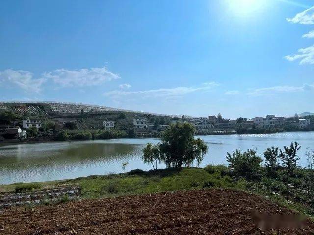 邹云坤到永丰镇调研乡村振兴示范园田园综合体项目建设工作