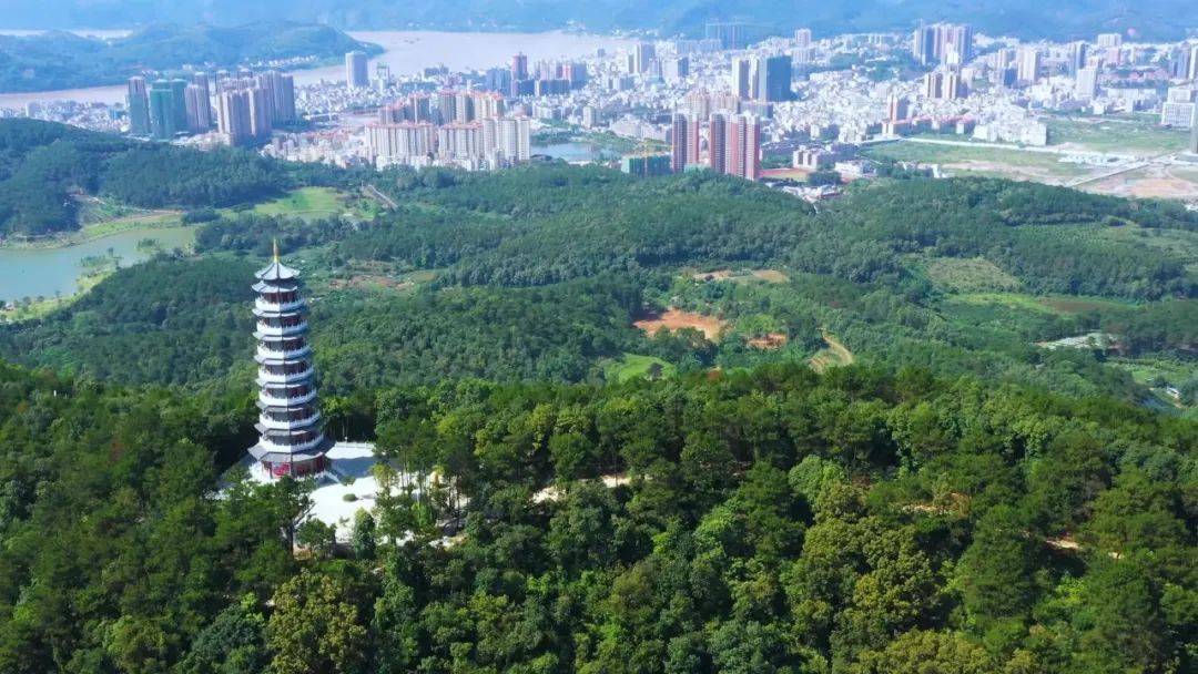 聚焦两会郁南县2022年十件民生实事