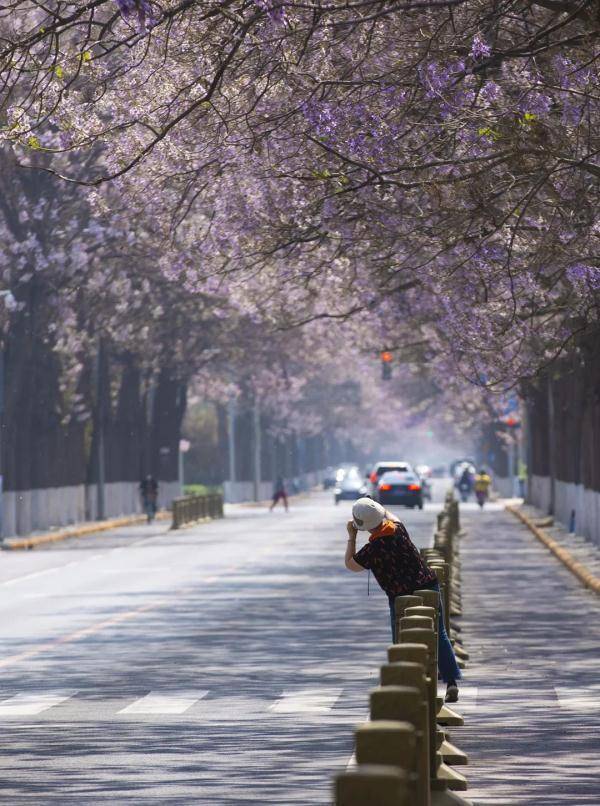 交警提醒 | 马路不是打卡地，请文明赏景，安全拍照！