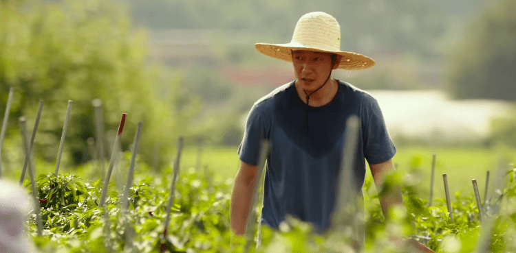 顶级糙汉的魅力无人生还